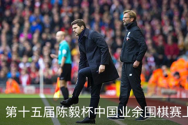 第十五届陈毅杯中国业余围棋赛上海开幕